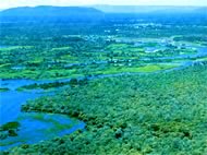 O Pantanal  um dos biomas enfocados pelo Projeto