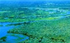 O Pantanal  um dos biomas enfocados pelo Projeto